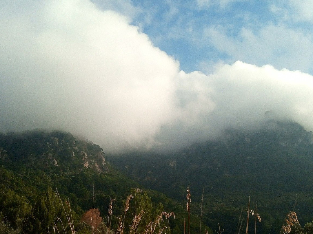 Camino de Mallorca GR221景点图片