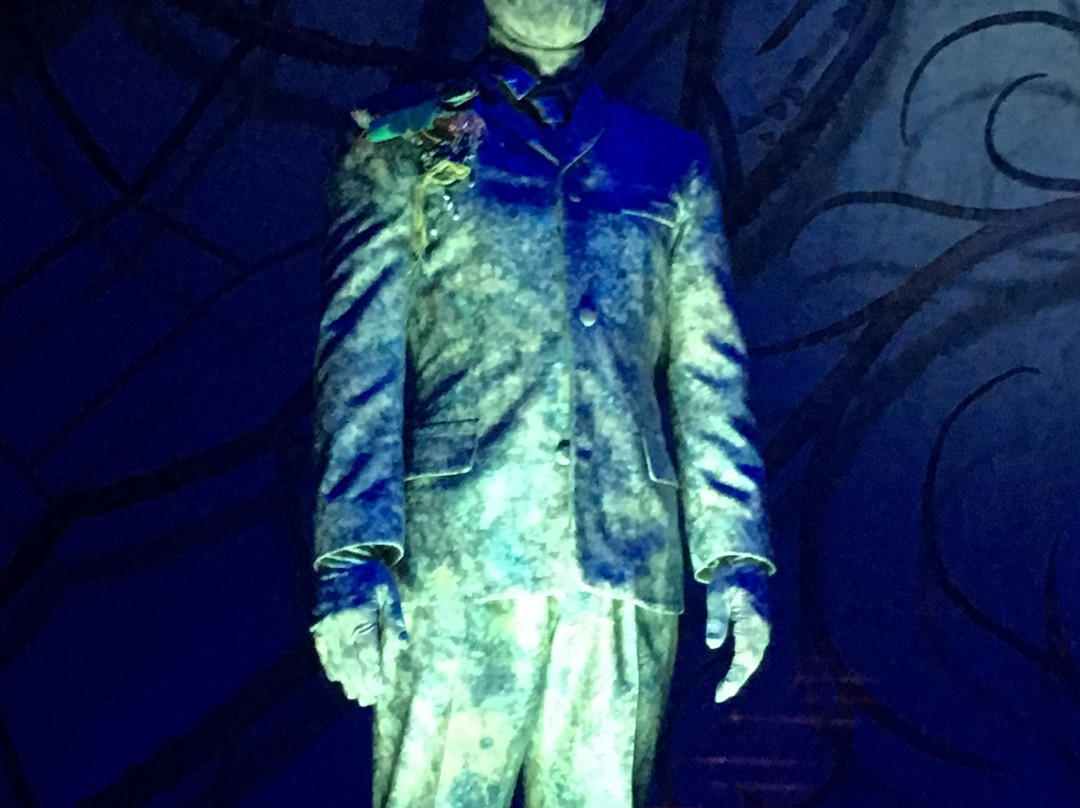 Cirque du Soleil Joyà景点图片