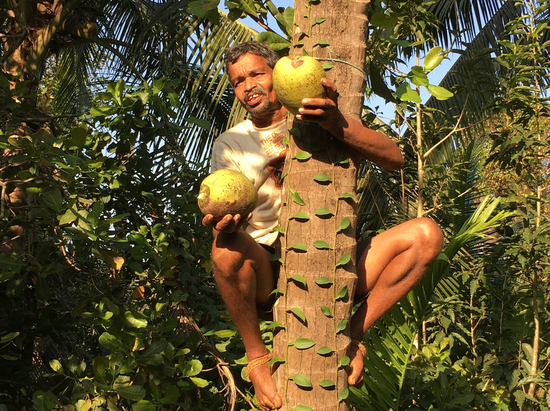 The Happiness Estate主图