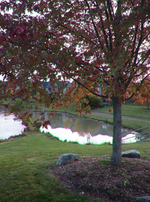 Coyle Creek Park-Welland必去景点