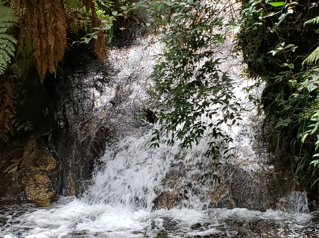 Parque Estadual Campos do Jordao-坎普斯－杜若尔当必去景点