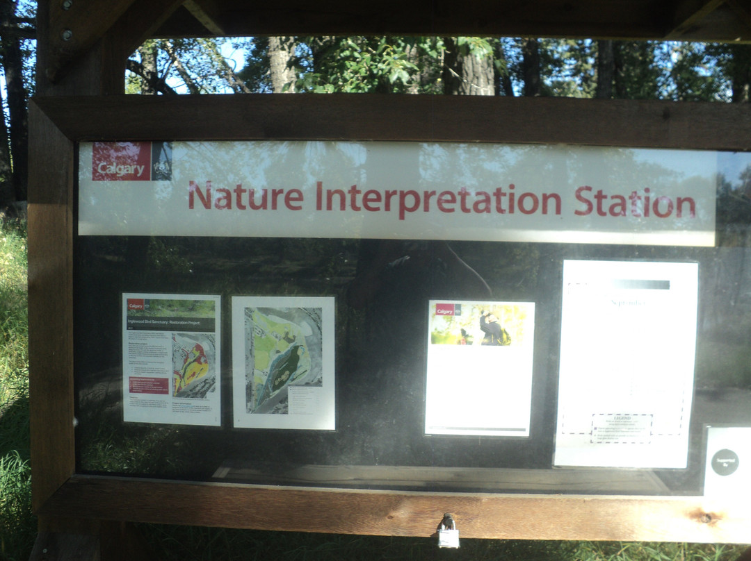 Inglewood Bird Sanctuary and Nature Centre景点图片