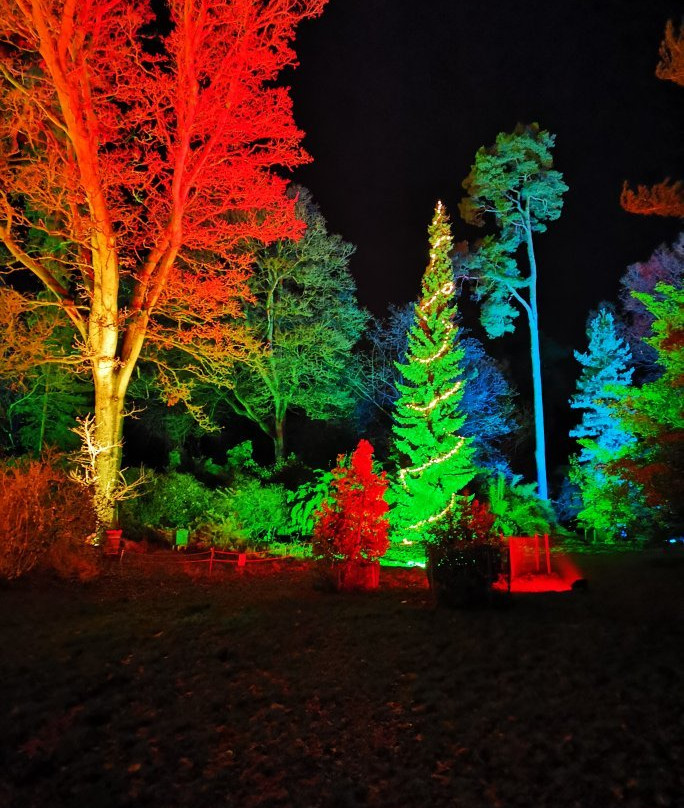 Westonbirt Arboretum景点图片