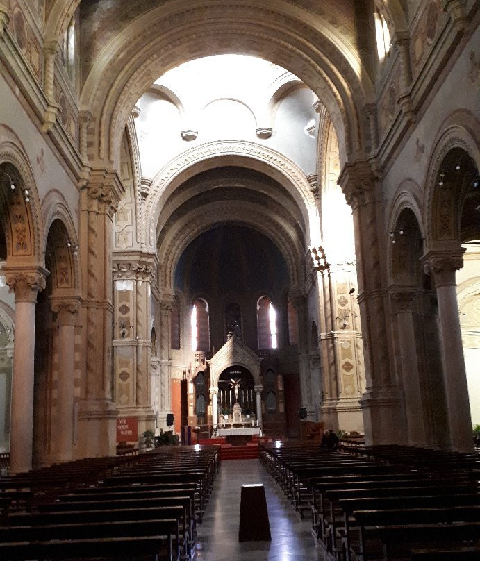 Chiesa del Santissimo Redentore (Duomo di Lonigo)景点图片