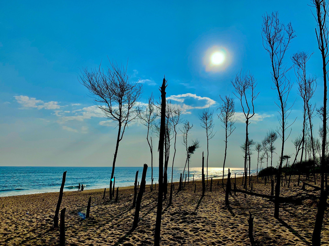 Chandrabhaga Beach景点图片
