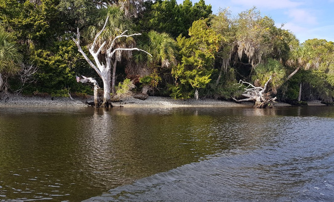 Homosassa River-Homosassa必去景点