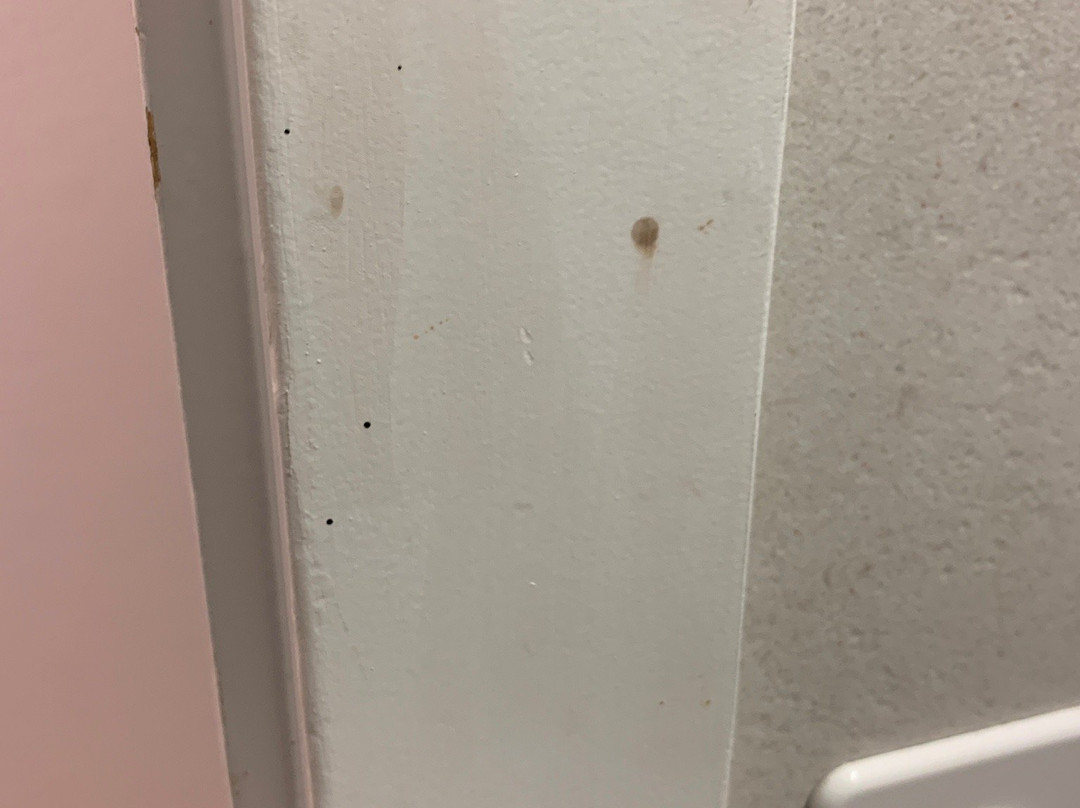 阿德勒公寓式酒店主图