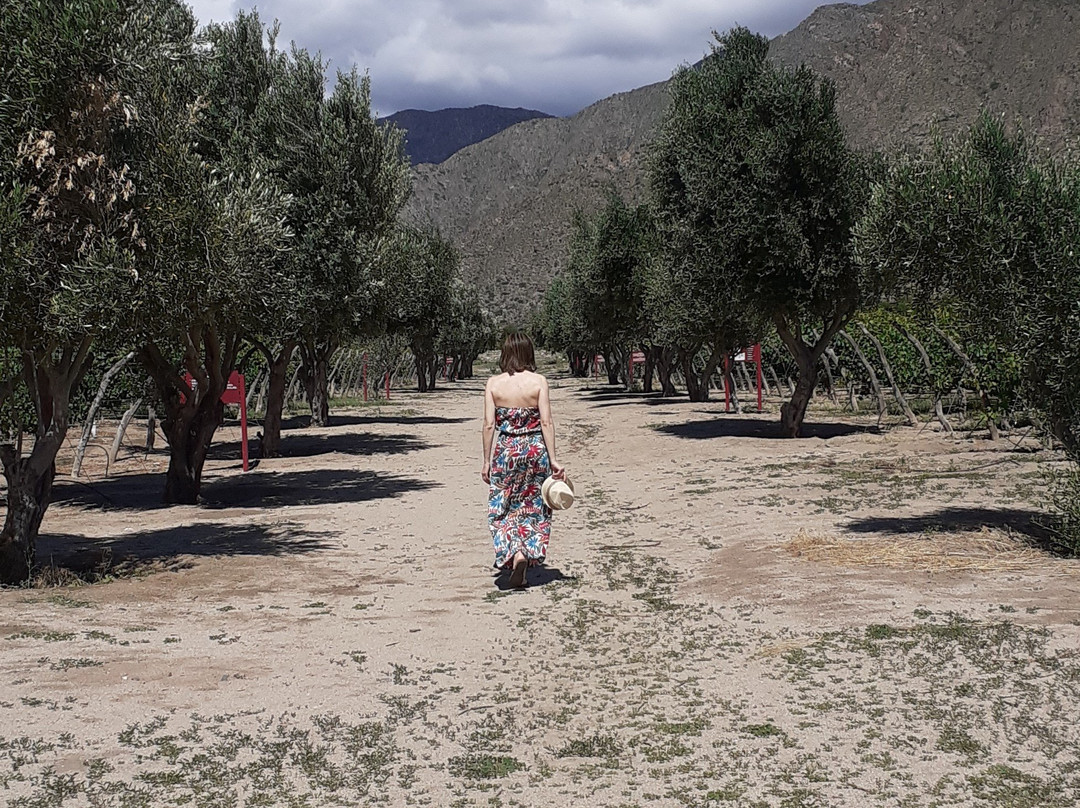 Altalaluna Hotel Boutique & Spa主图