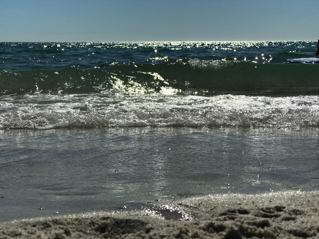 South Fremantle Dog Beach景点图片