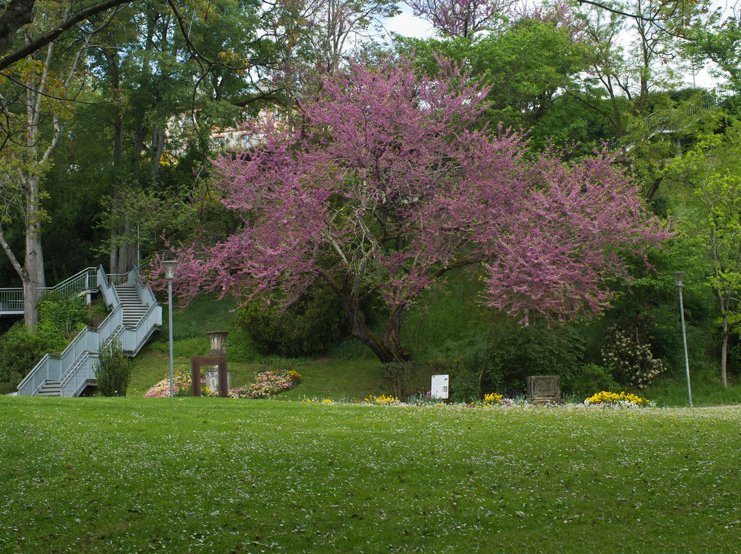 Le Jardin des Plantes景点图片