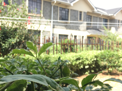 Nairobi Airport Suites主图