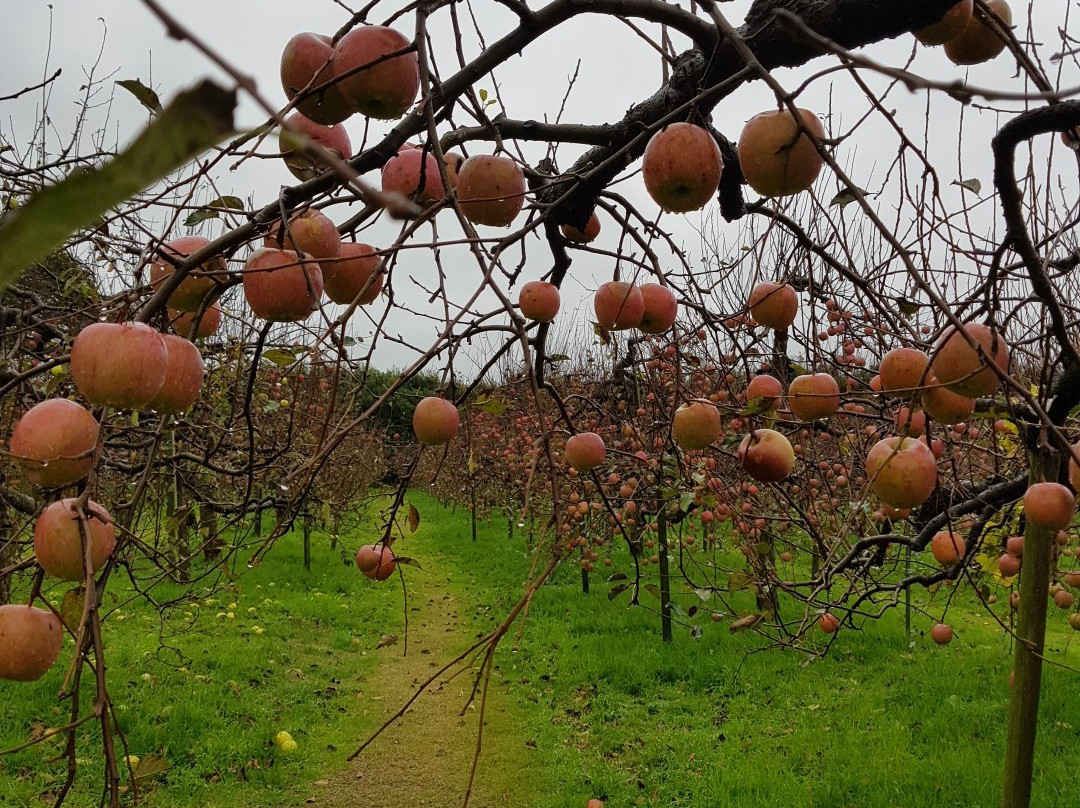 Kaga Fruit Land景点图片