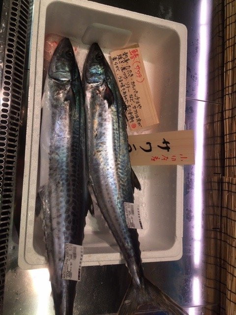 Manadzuru Umi no Eki-真鹤町必去景点