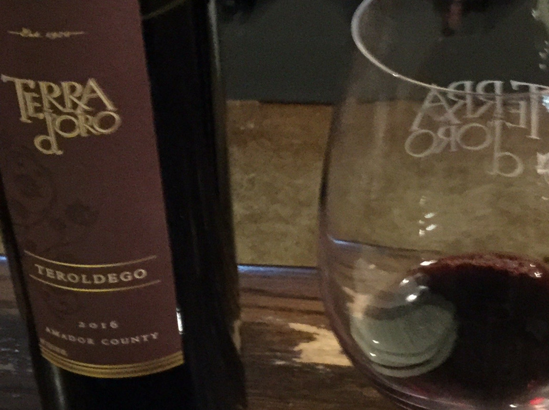 Terra d'Oro Winery景点图片