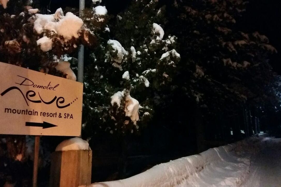 Domotel Neve Mountain Resort & Spa主图