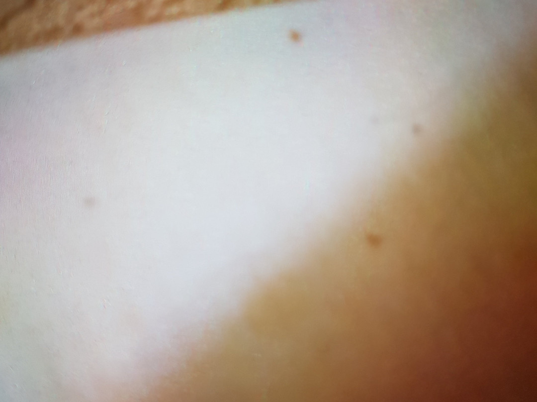 Lakeview Inns & Suites - Chetwynd主图