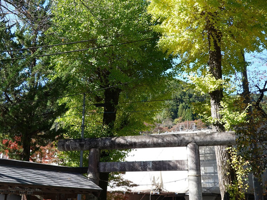 Okuhikawa Shrine-奥多摩町必去景点