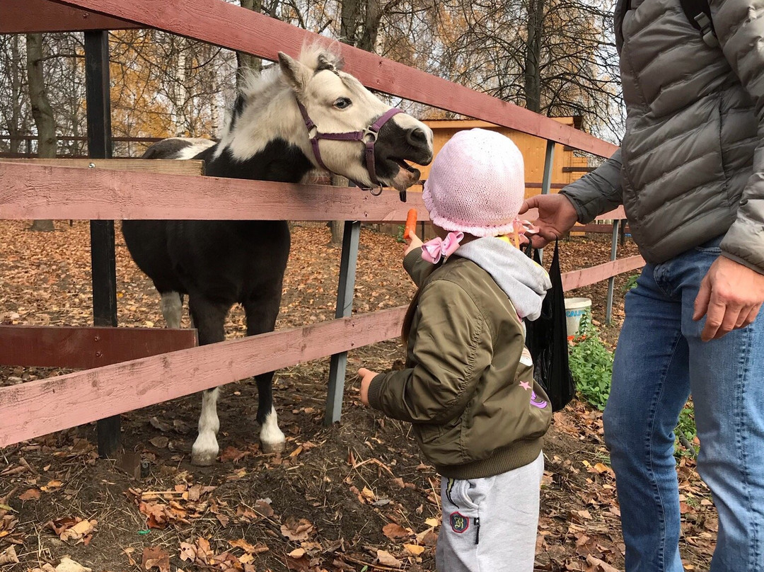 Mini-zoo Sozidatel景点图片