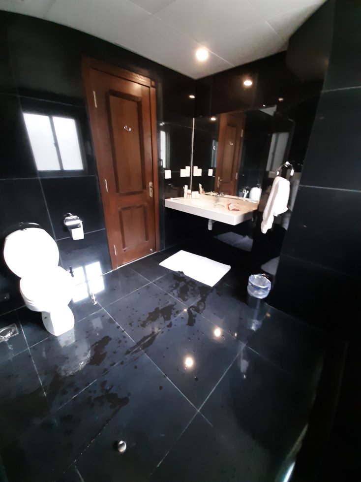 阿瓦里快线古尔伯格酒店-portrait