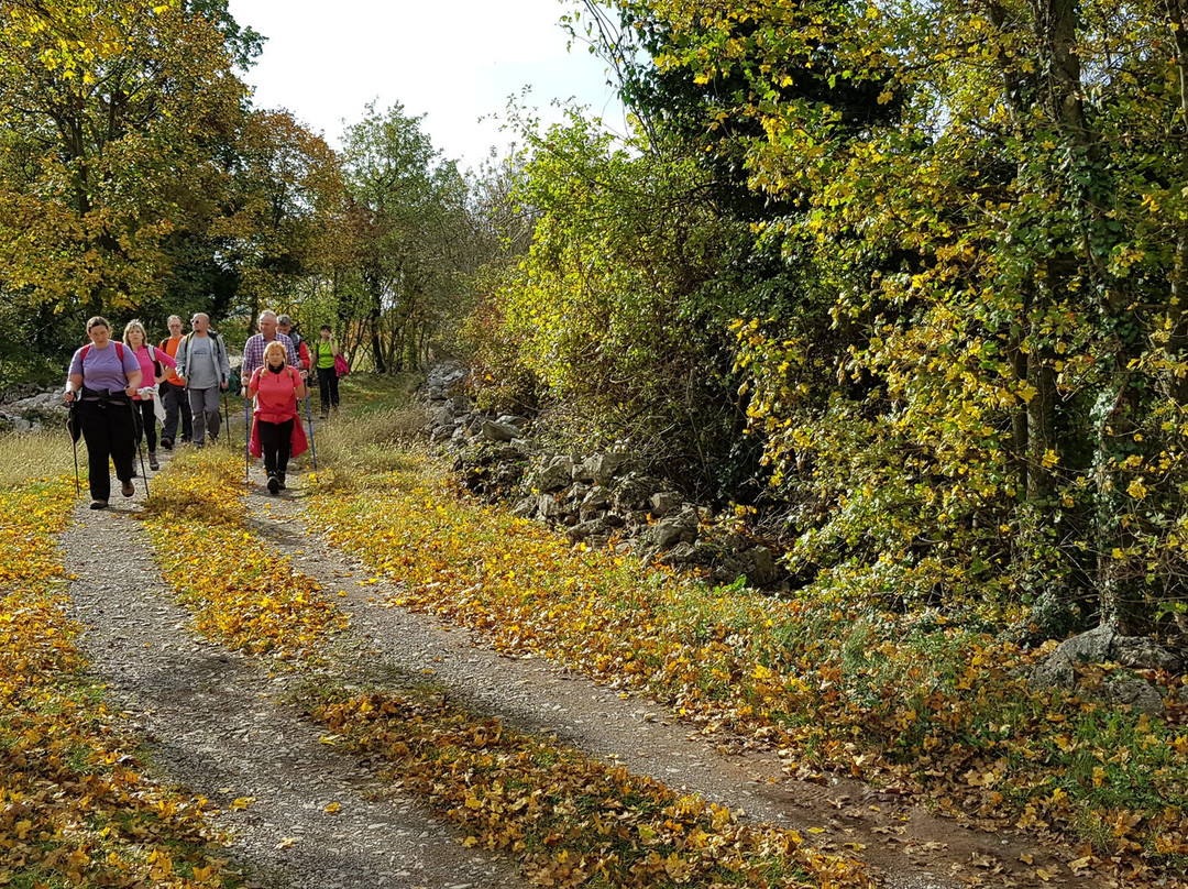 Zeliscna Kmetija Rogelja-Kostanjevica na Krasu必去景点