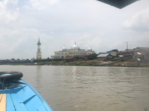 Rimba Borneo Kalimantan Orangutan and Eco Tours-巴厘巴板必去景点