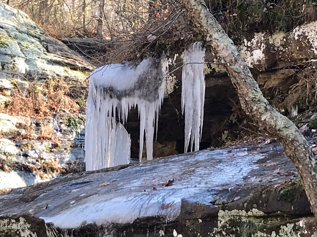 Dixon Springs State Park景点图片