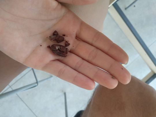 Taino Gourmet And Oliver Lab-蓬塔卡纳必去景点