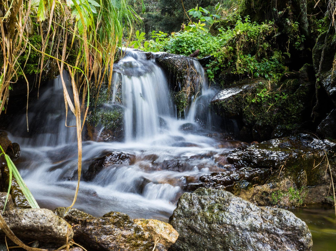 Gasthof Lamm beim schiefen Turm主图