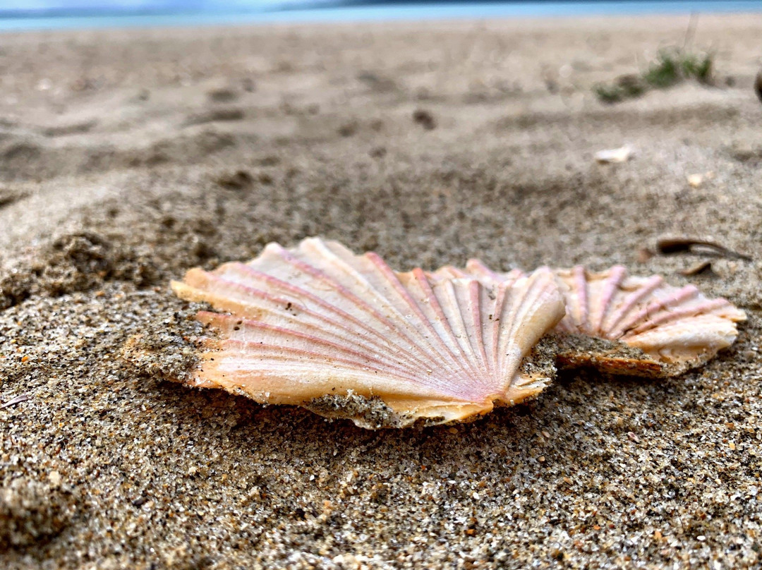 克希海滩住宿加早餐旅馆主图