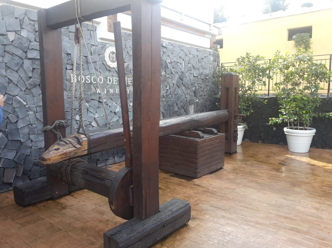 Bosco de Medici Winery景点图片