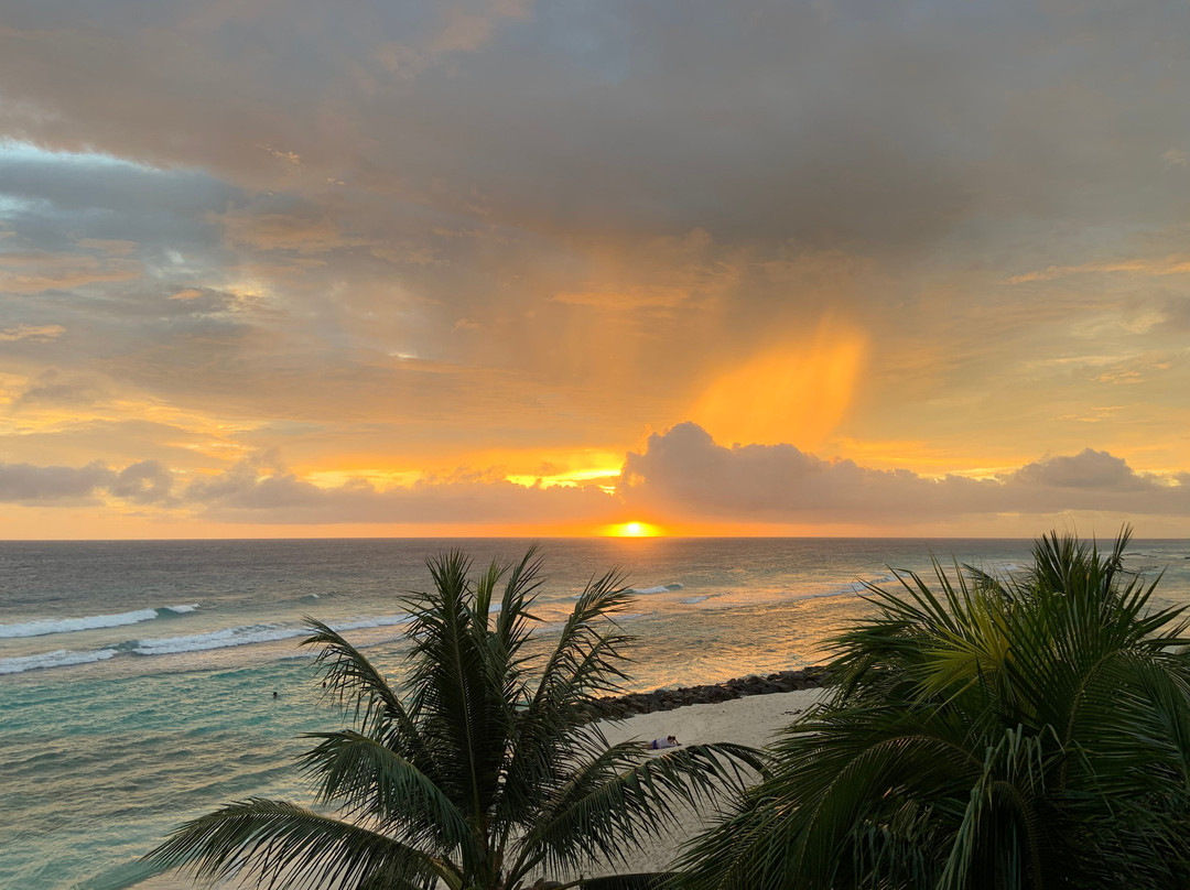 The Soco Hotel主图