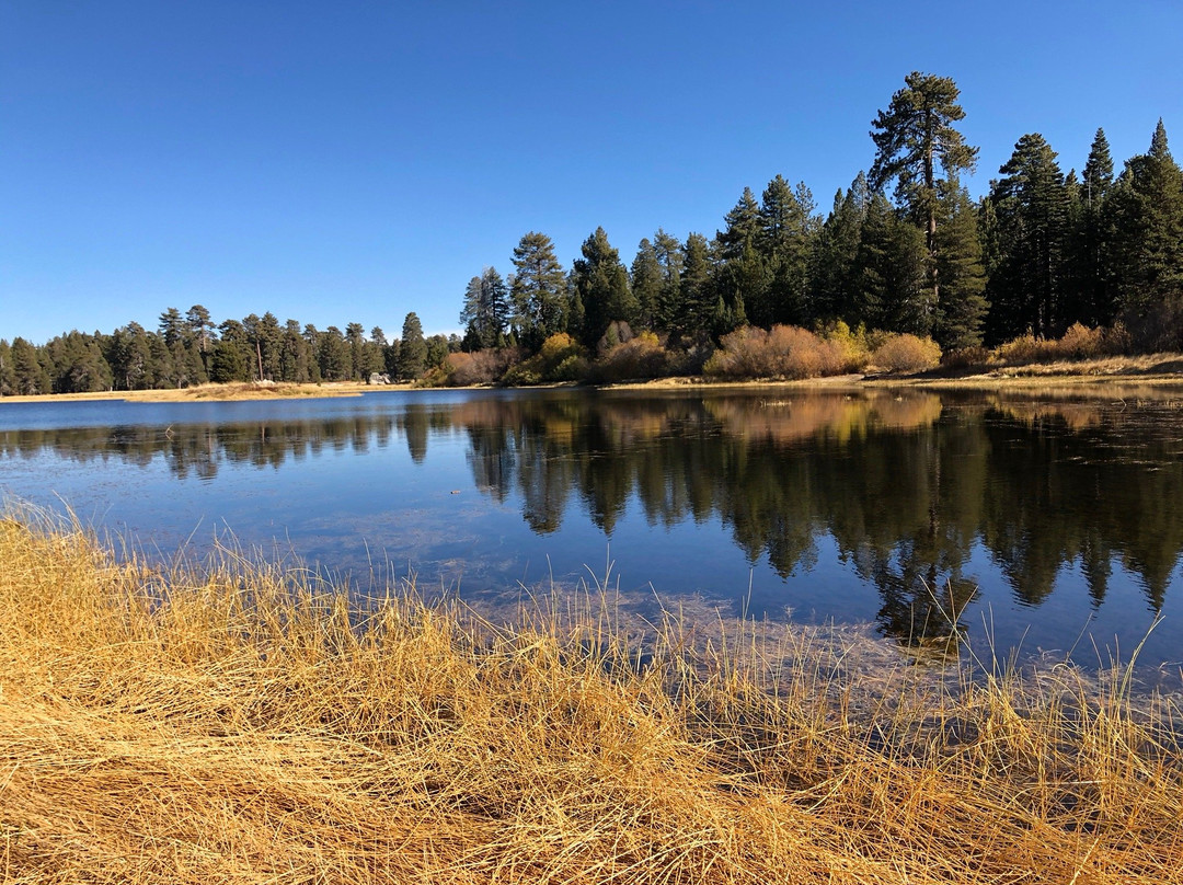 Bluff Lake Reserve-大熊湖必去景点