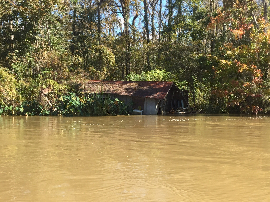 Dr. Wagner's Honey Island Swamp Tours-斯莱德尔必去景点