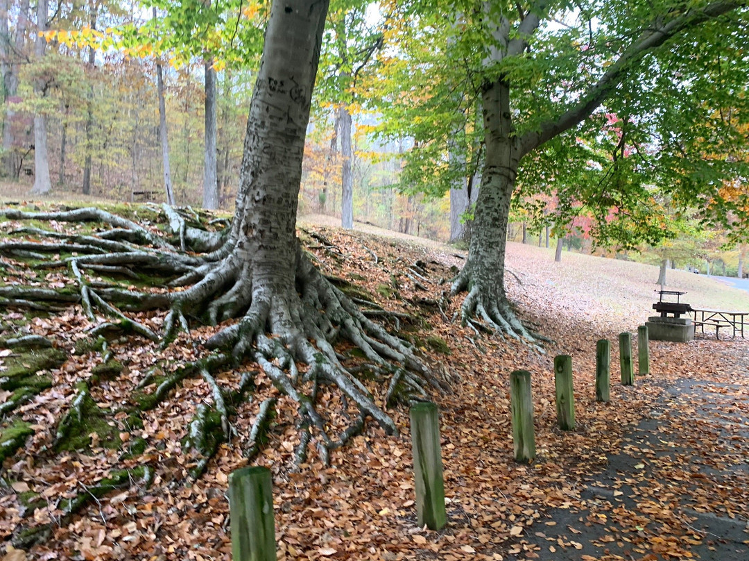 Dixon Springs State Park景点图片