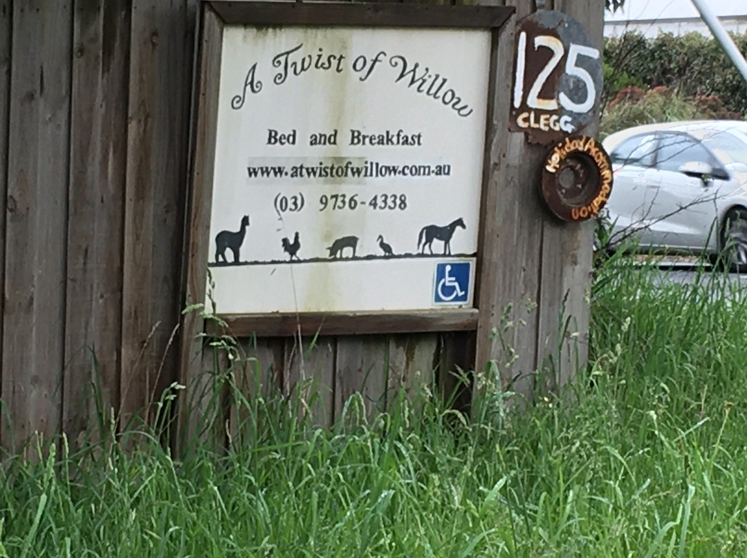 A Twist Of Willow主图