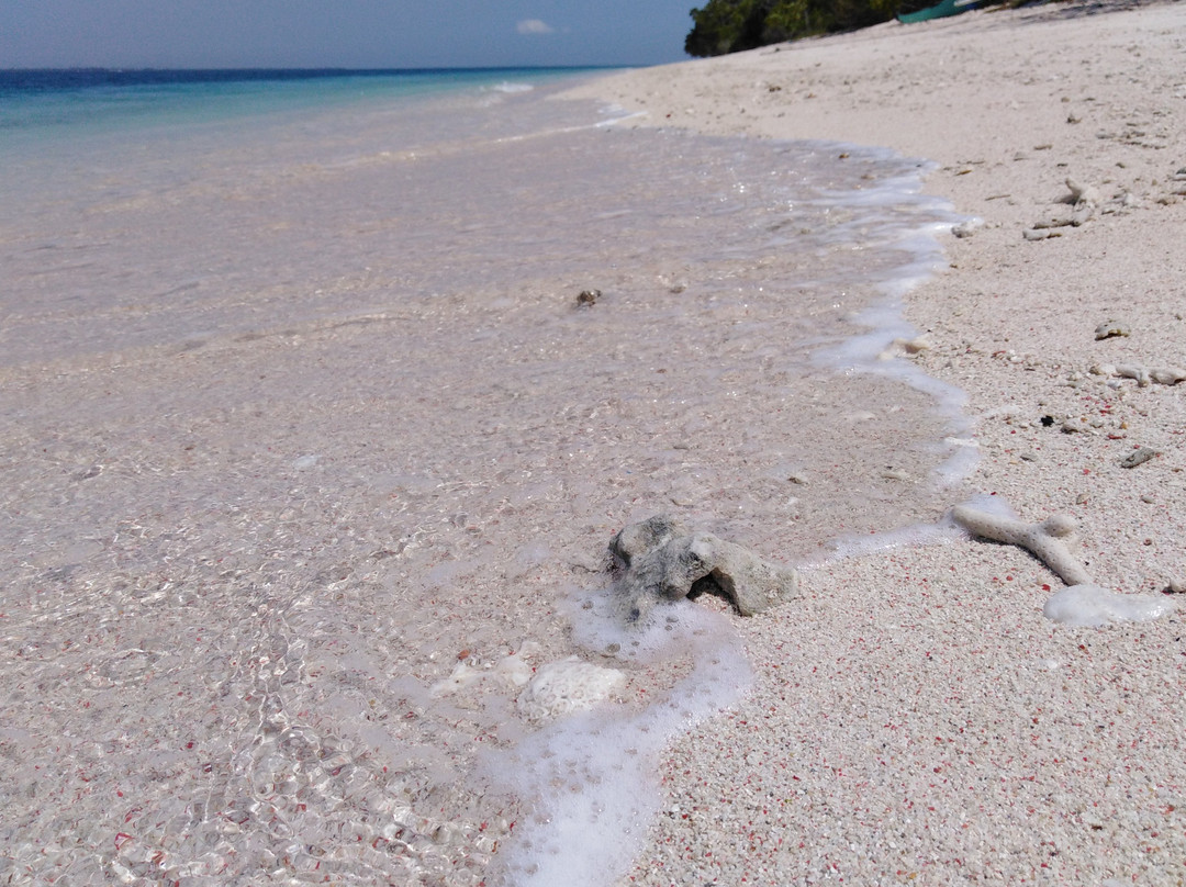 Santa Cruz Island-三宝颜必去景点