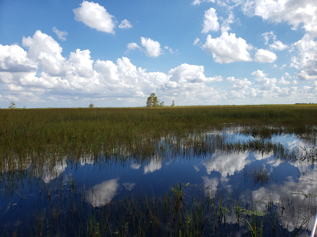 Tippy's Outpost Airboat Rides-奥乔皮必去景点