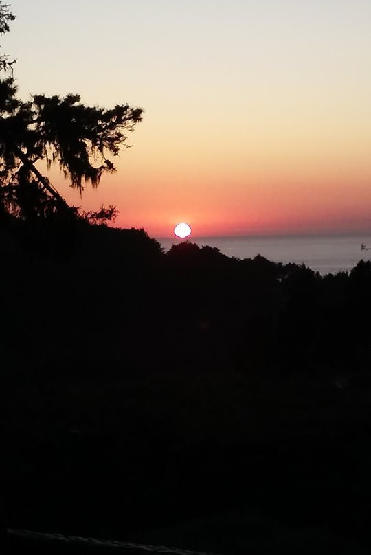 Brewery Gulch Inn & Spa主图