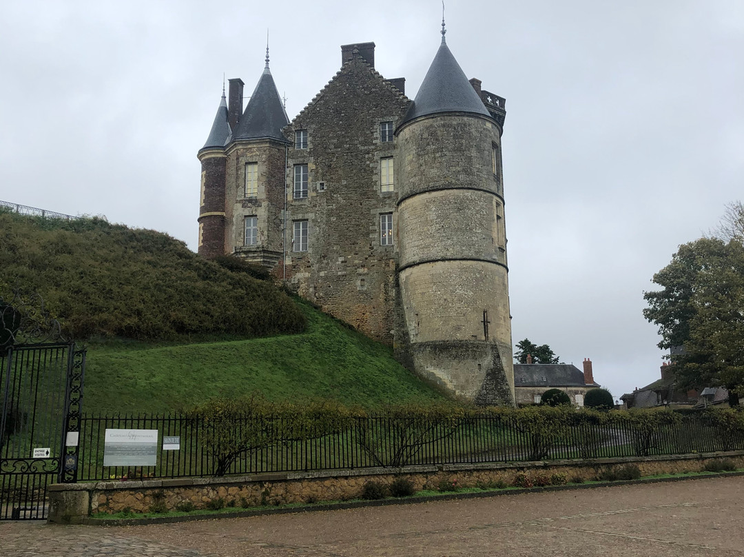 Chateau de Montmirail景点图片