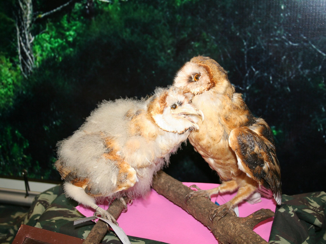 Museu Zoobotanico Augusto Ruschi - Muzar-Passo Fundo必去景点