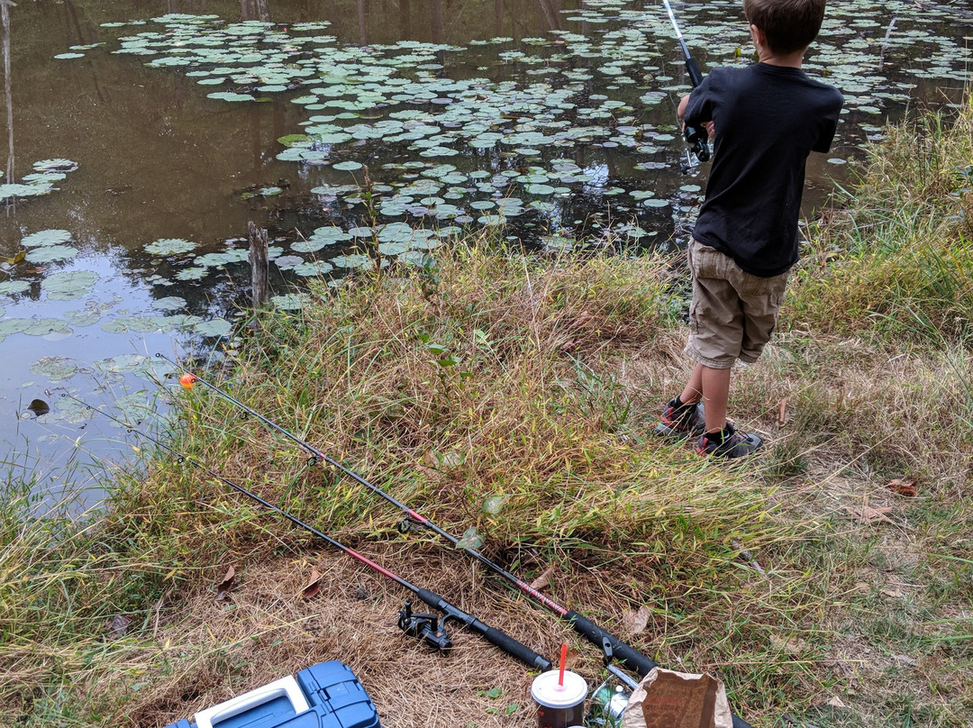 Patuxent Research Refuge - North Tract-Laurel必去景点
