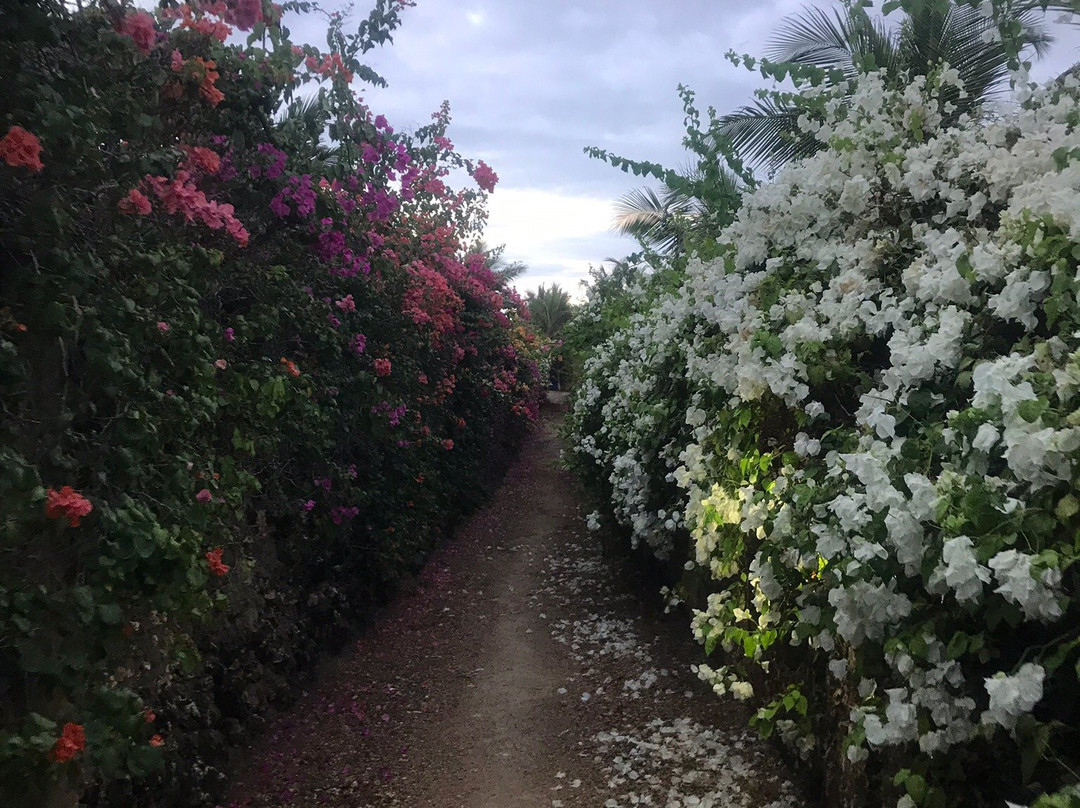 Pearl of Afrika主图