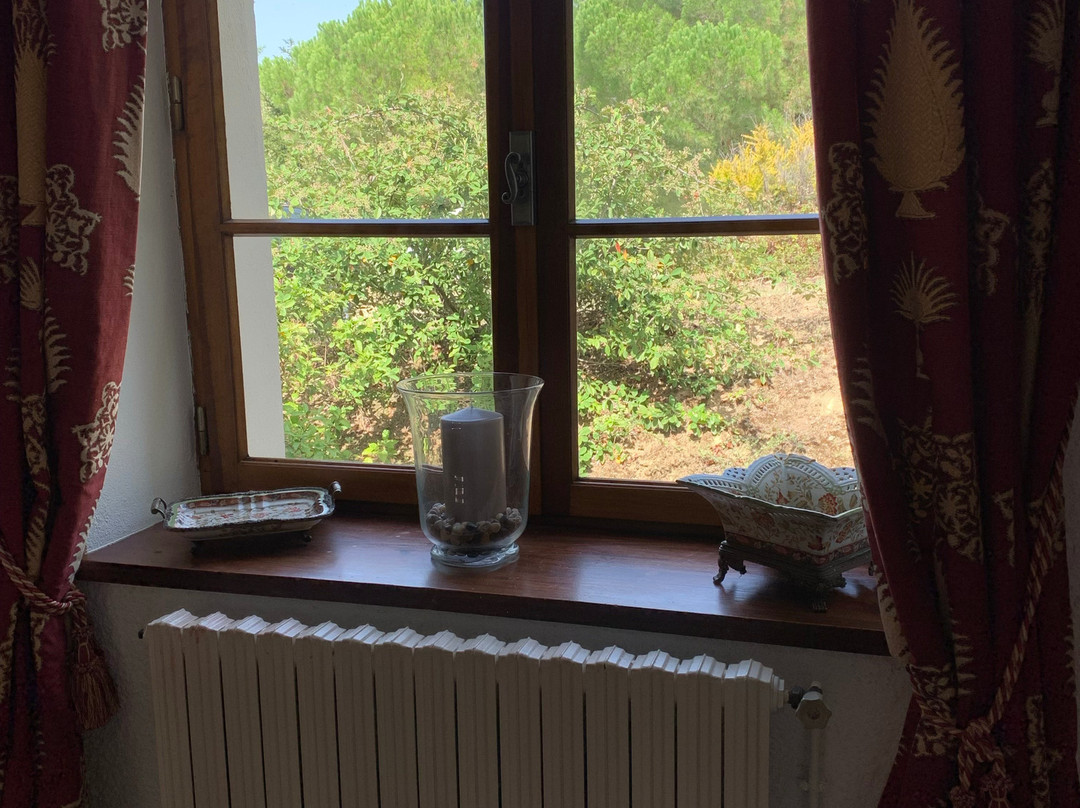 B & B in Limoux at Domaine St George主图