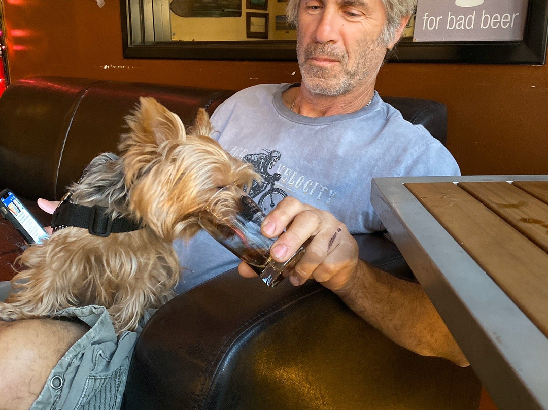 Left Coast Brewing-圣克莱蒙顿必去景点