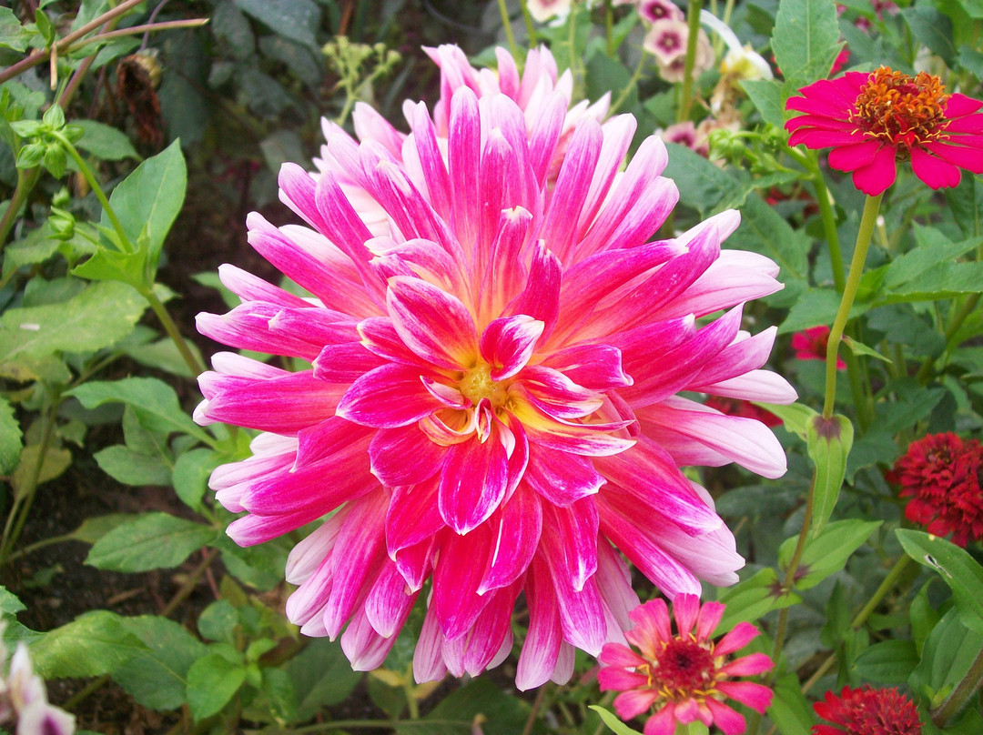 Highline SeaTac Botanical Gardens-西塔科必去景点