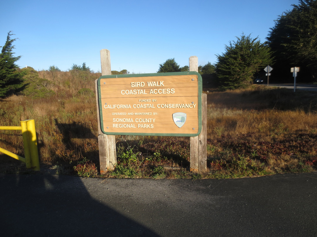 Bird Walk Coastal Access Trail景点图片