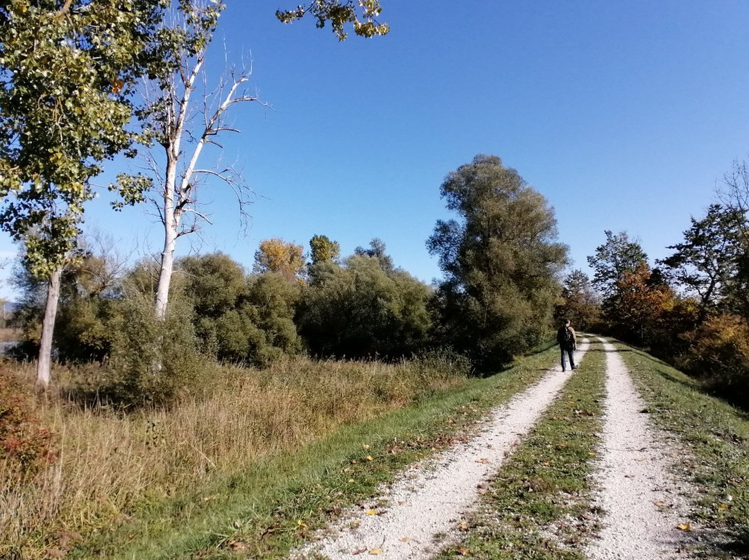 Infohaus Isarmuendung