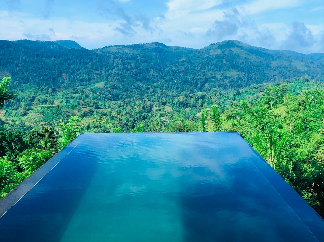 Nest Wood Bungalow主图