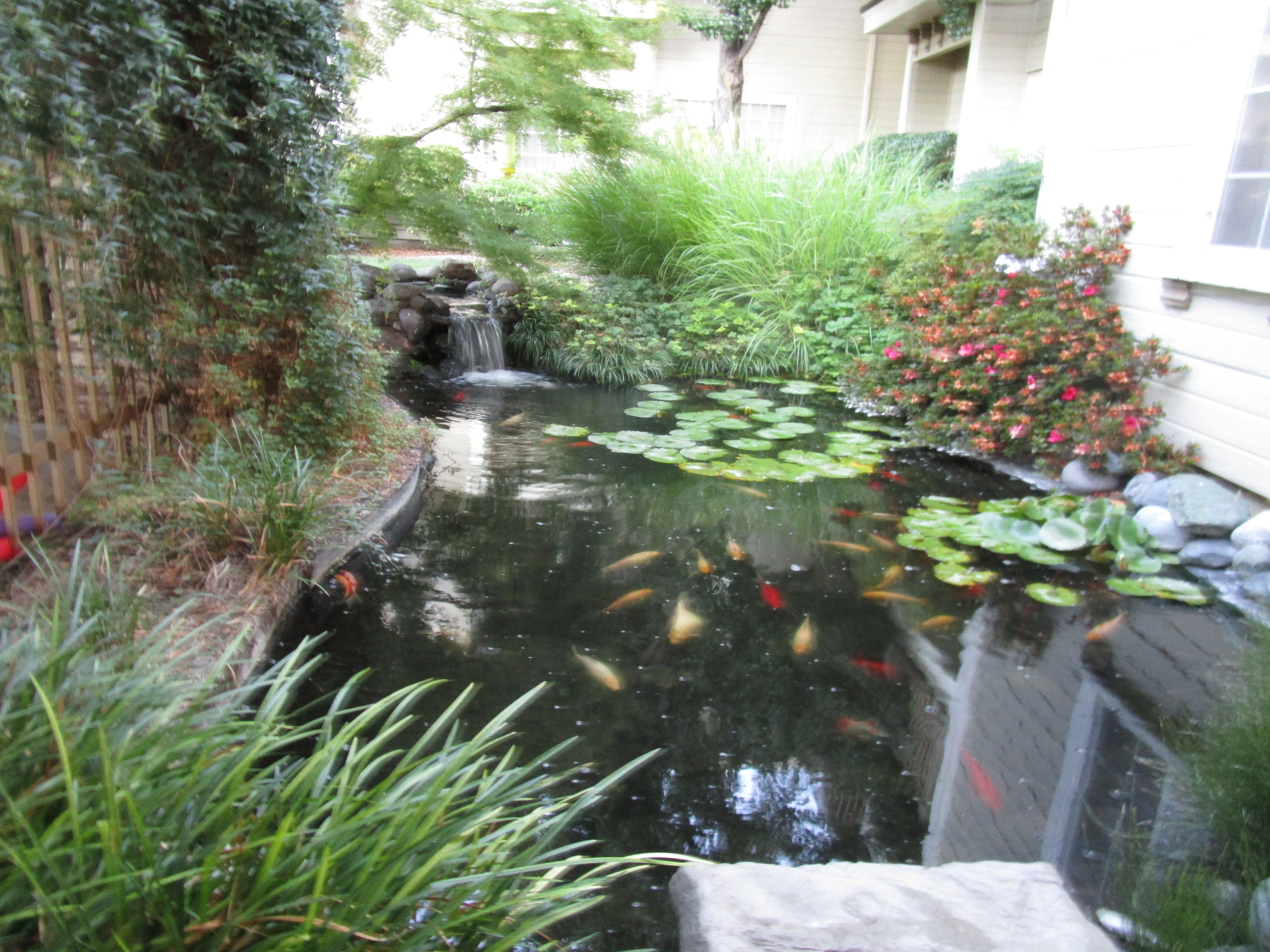 Hampton Inn Ukiah-浴室