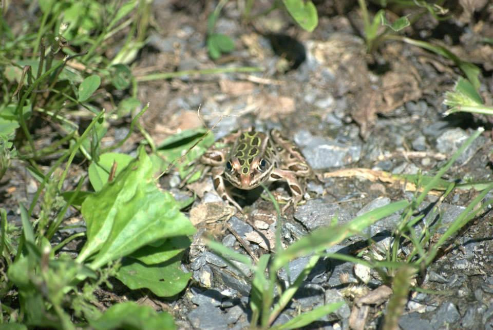 Hyla Park Nature Preserve景点图片